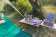 Bush picnic