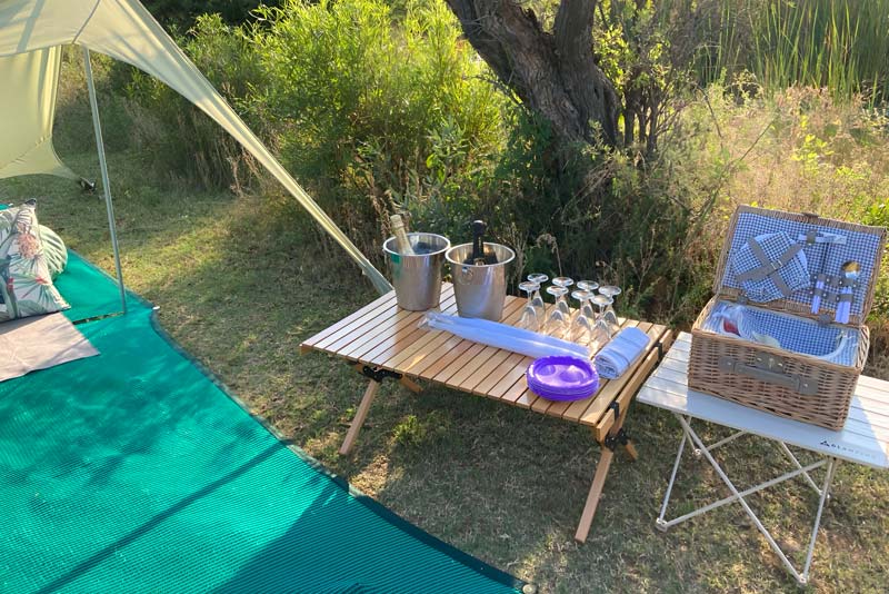 Bush picnic