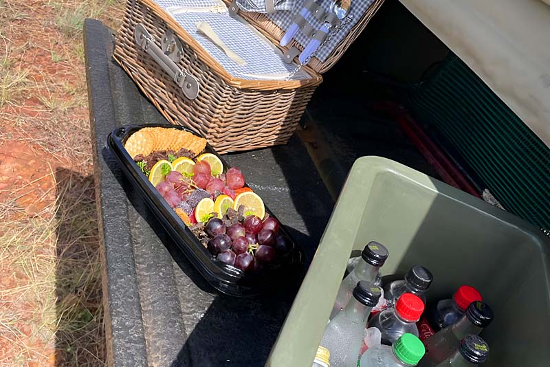 Game drive