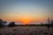 Sunset view
