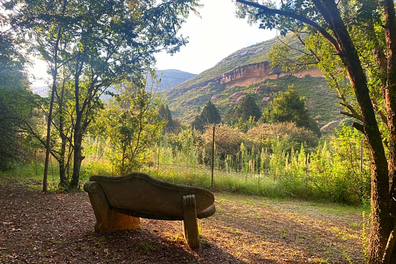 Tranquil spot - Golden Cove self catering in Clarens