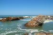Tidal Pool 