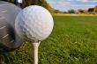 Enjoy a game on the mashie golf course