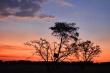 Kokoriba Sunset