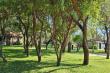 Kokoriba Guest Farm Garden and Trees