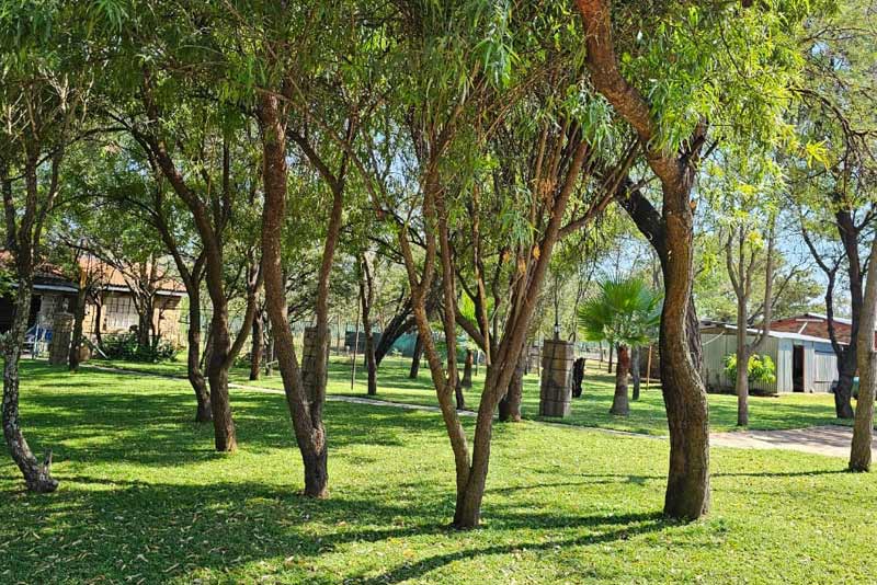 Kokoriba Guest Farm Garden and Trees