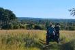 Game drive
