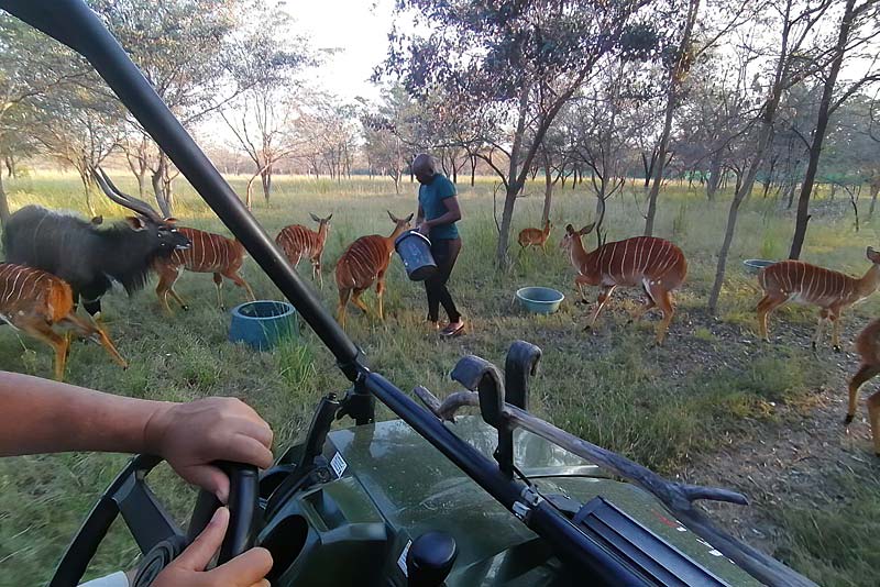 Feeding time