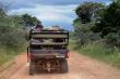 Game drive