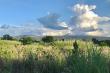 Cycle or walk along the fields 