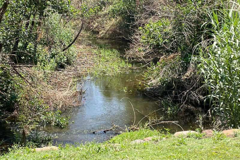 River walk /cycle