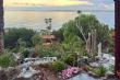View from the Patio