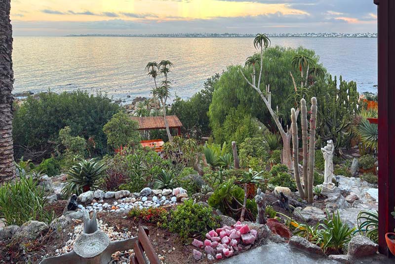 View from the Patio