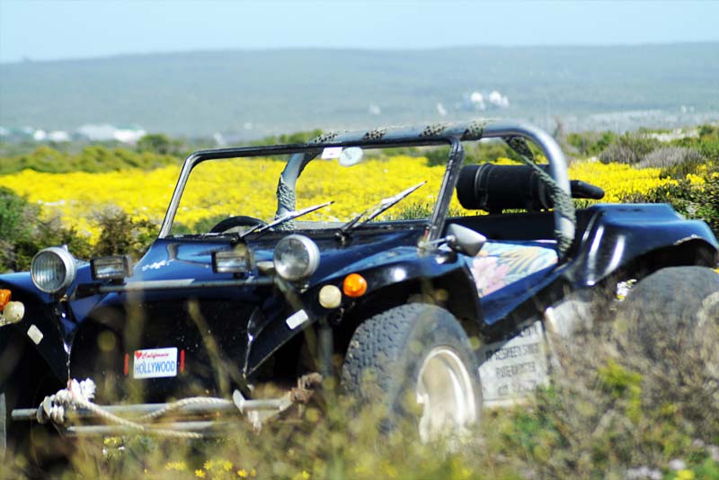 Join Deon for an unforgettable Beach Buggy ride