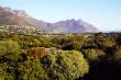 View from Luisa House - Bed and Breakfast  Hout Bay, Cape Town
