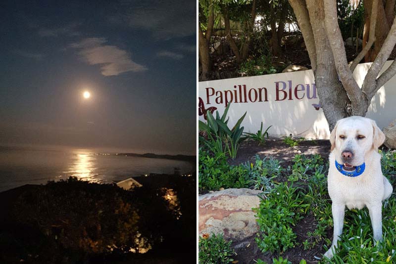 Papillon Bleu - Self catering accommodation in Brenton-On-sea