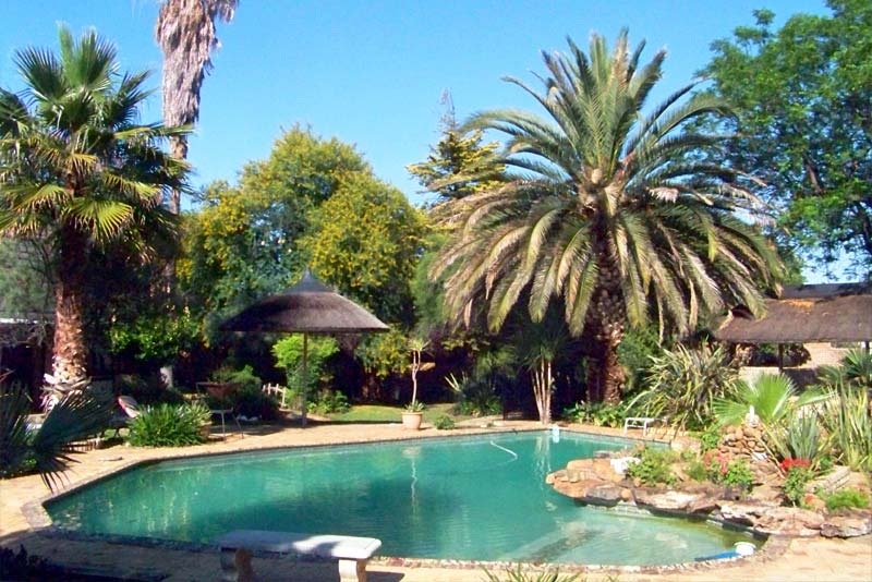 Swimming Area - Kumkani Country Lodge - Self Catering in Potchefstroom