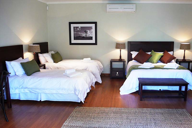 Honeylocust Guesthouse bed & breakfast in Colesberg