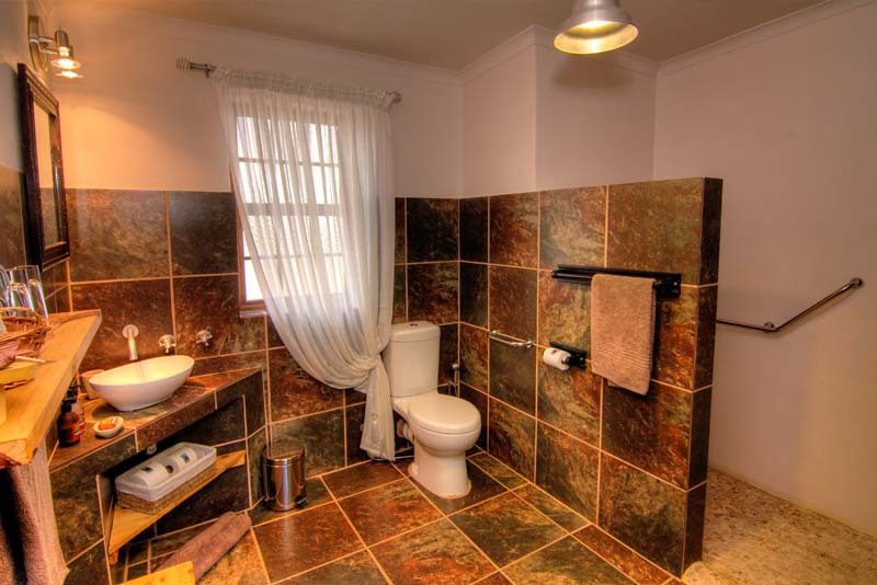 En-suite Bathroom with walk in shower - wheel chair friendly in 2 of our Karoo View Cottages