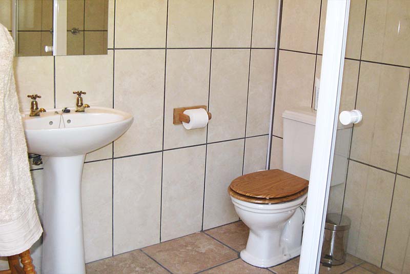 Homestead - en-suite bathroom