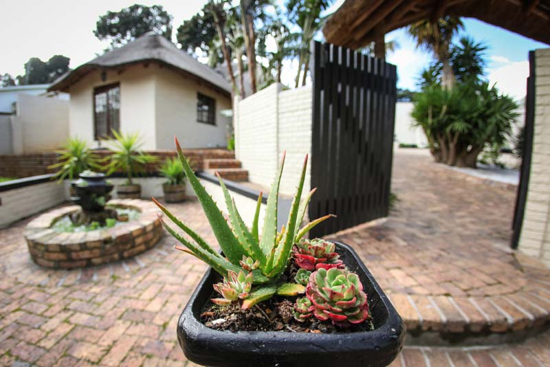 Top Cottage - Winelands Villa Guesthouse self catering Somerset West