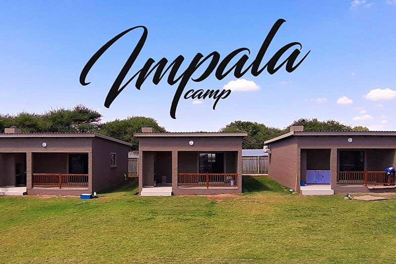 Impala Camp