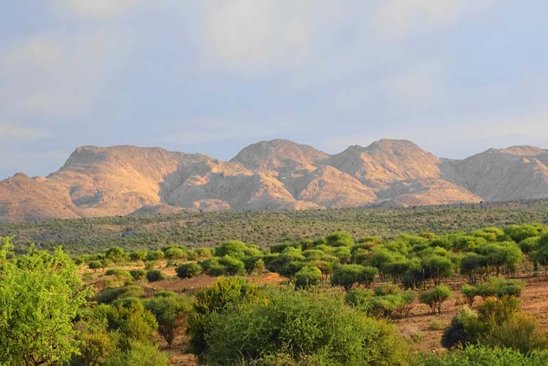 Activities: Game Drive - View of Auas Mountains