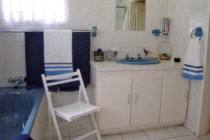 Blue Suite Bathroom - Panhandle Place self-catering Linden, Randburg