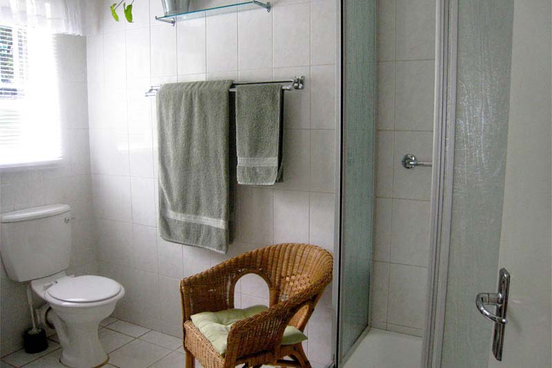Forest Room Bathroom - Panhandle Place self-catering Linden, Randburg