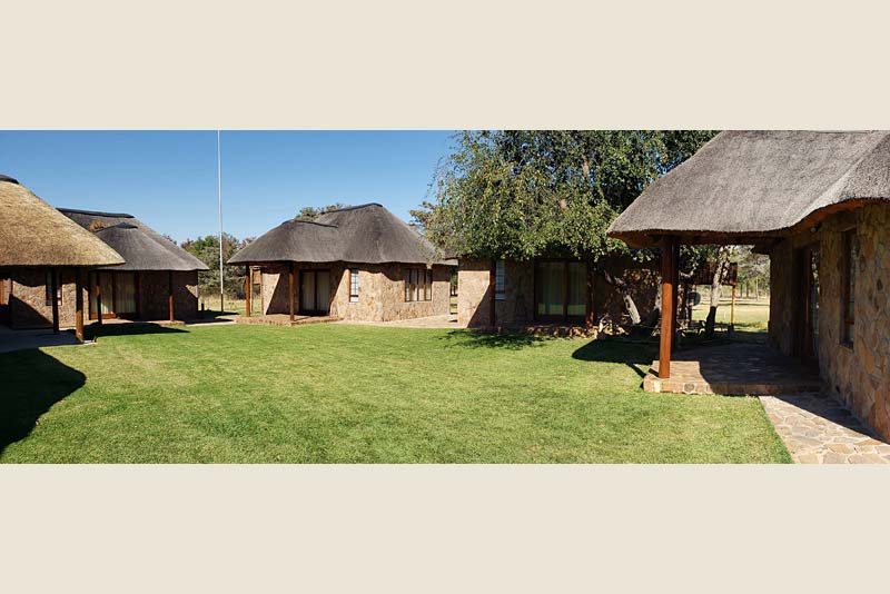 Big 5 Chalets and lawn