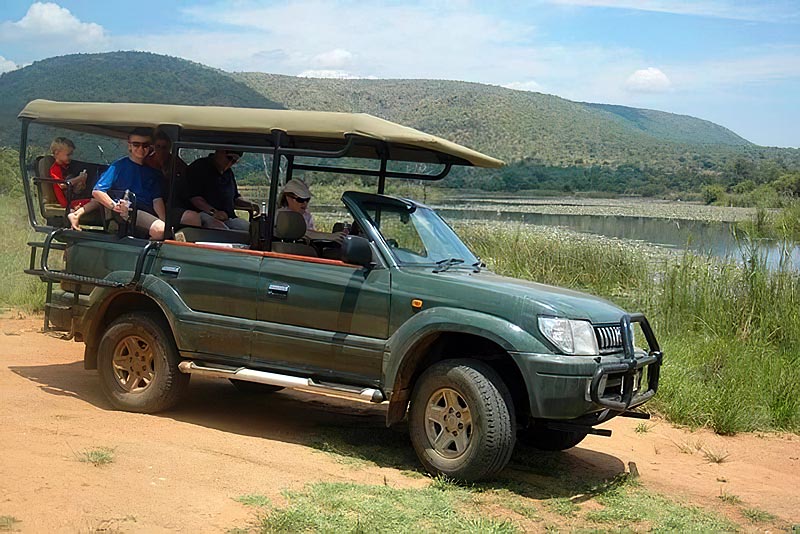 Game drive time - Ngong Hill self catering Mabalingwe