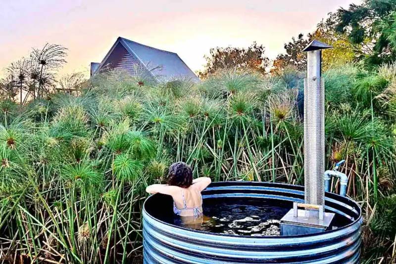 Hot tub nestled behind Papyrus plants